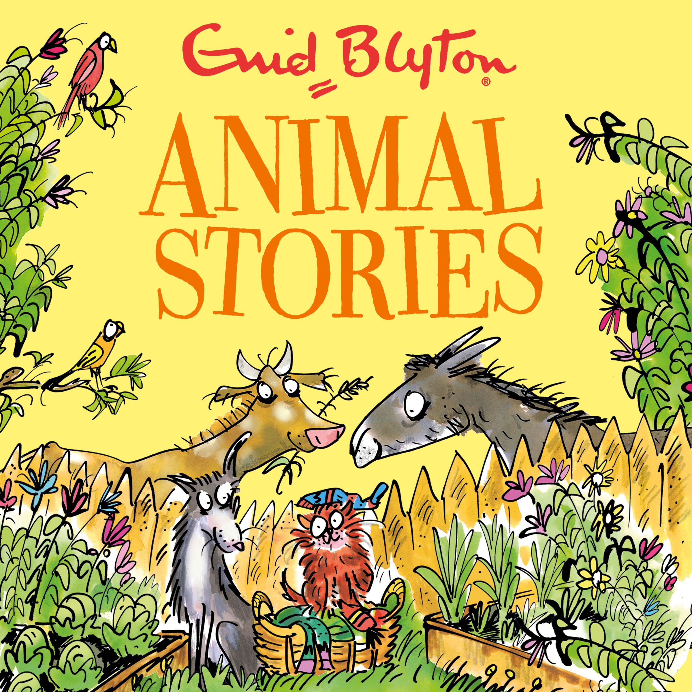 Animal Stories: Contains 30 classic tales by Enid Blyton - Books - Hachette  Australia