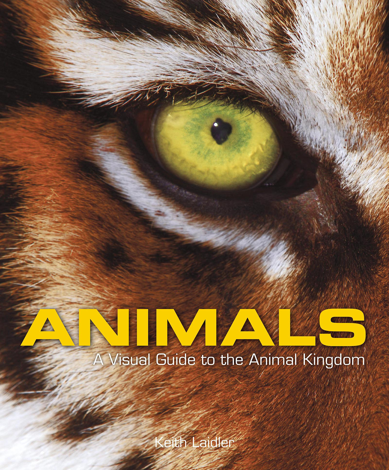 Animals: A Visual Guide to the Animal Kingdom by Dr Keith Laidler - Books -  Hachette Australia
